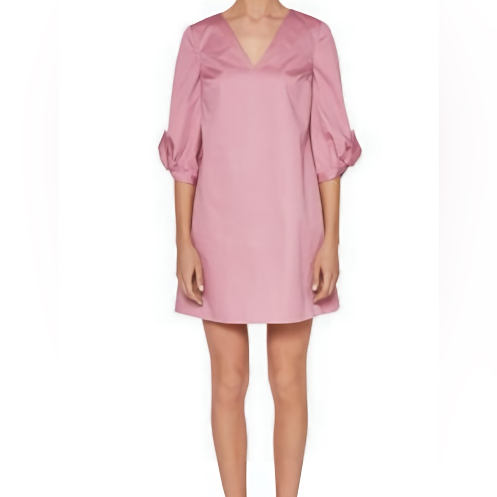 Ted Baker Dusty Pink Garment